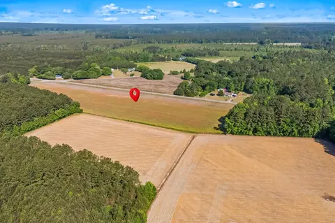 tbd Ray Rd, Hemingway, SC 29554 photo 10