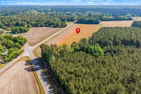 tbd Ray Rd, Hemingway, SC 29554 photo 19