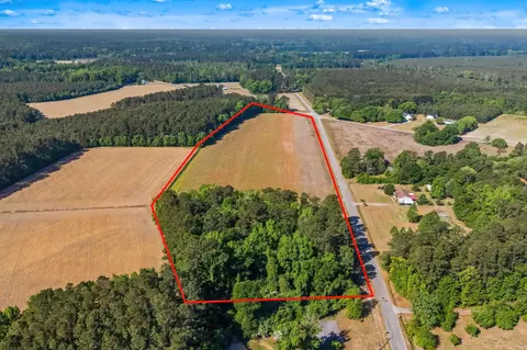 tbd Ray Rd, Hemingway, SC 29554 photo 6