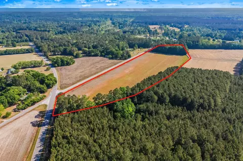 tbd Ray Rd, Hemingway, SC 29554 photo 4