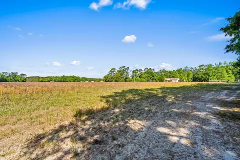 tbd Ray Rd, Hemingway, SC 29554 photo 16