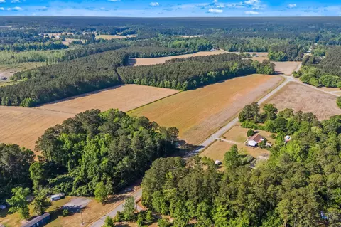tbd Ray Rd, Hemingway, SC 29554 photo 3