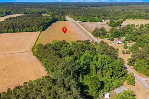 tbd Ray Rd, Hemingway, SC 29554 photo 12
