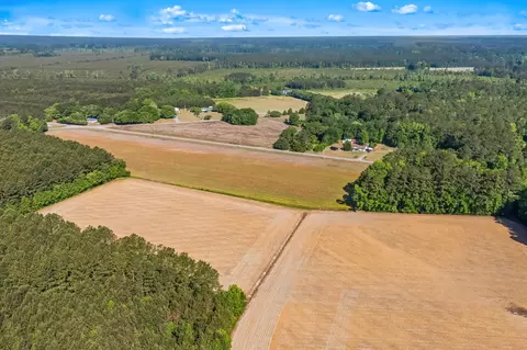 tbd Ray Rd, Hemingway, SC 29554 photo 11