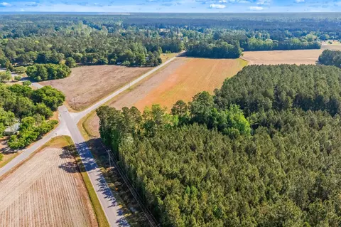 tbd Ray Rd, Hemingway, SC 29554 photo 20
