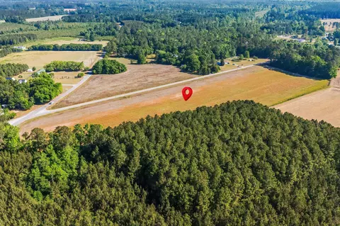 tbd Ray Rd, Hemingway, SC 29554 photo 8
