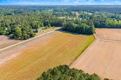 tbd Ray Rd, Hemingway, SC 29554 photo 21