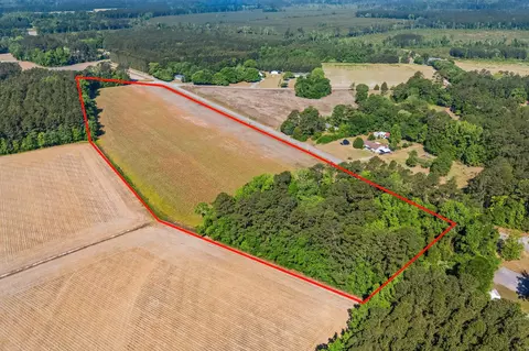tbd Ray Rd, Hemingway, SC 29554 photo 2