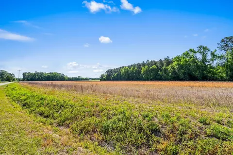 tbd Ray Rd, Hemingway, SC 29554 photo 17
