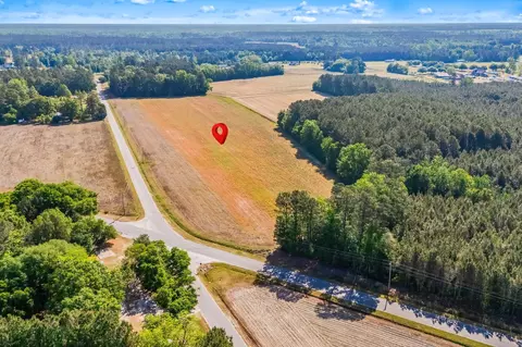 tbd Ray Rd, Hemingway, SC 29554 photo 23