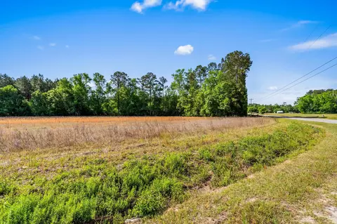 tbd Ray Rd, Hemingway, SC 29554 photo 18