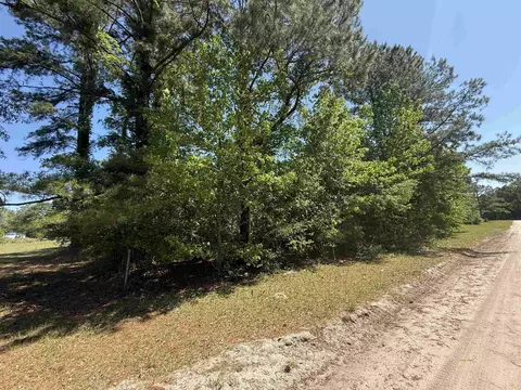 tbd New Bridge Rd, Nichols, SC 29581