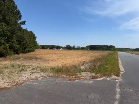 tbd Red Bluff Rd, Loris, SC 29569 photo 16