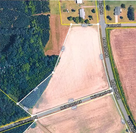 tbd Red Bluff Rd, Loris, SC 29569 photo 9