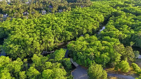 View/Area - 3379 Shadow Moss Ln, Murrells Inlet, SC 29576 photo 10 of 11