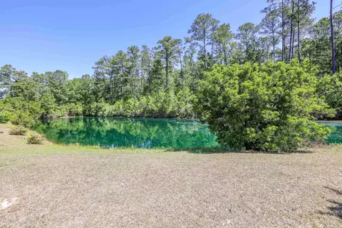View/Area - 405 Carrick Loop, Longs, SC 29568 photo 1 of 2