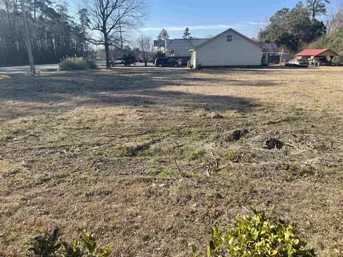 tbd Highway 701, Conway, SC 29526 photo 2