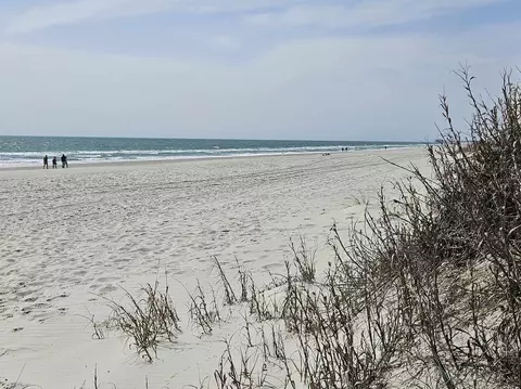 295 Sanddollar Dr, Surfside Beach, SC 29575 photo 41