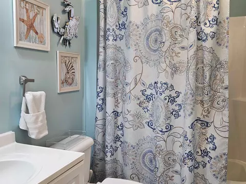 295 Sanddollar Dr, Surfside Beach, SC 29575 photo 23