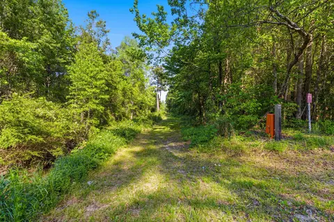 Other - 4699 Red Bluff Rd, Loris, SC 29569 photo 16 of 17