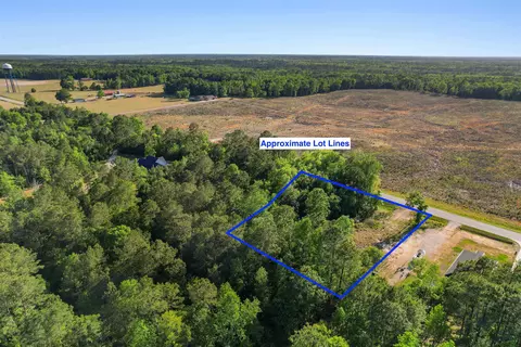 tbd Lot 3 Pee Dee Hwy, Conway, SC 29527