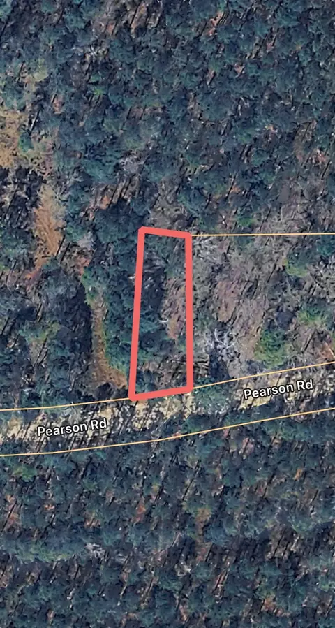 tbd Pearson Rd, Manning, SC 29102