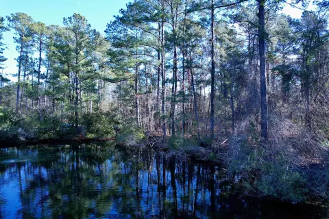 22 Lots- Goelet Ct, Georgetown, SC 29440 photo 11