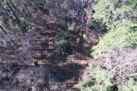 22 Lots- Goelet Ct, Georgetown, SC 29440 photo 12