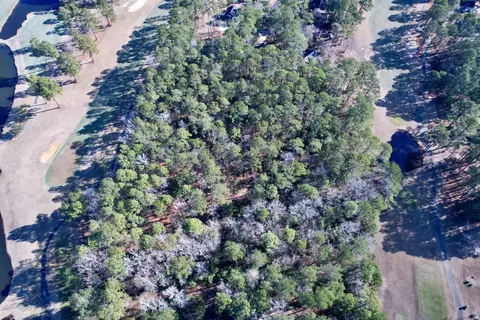 22 Lots- Goelet Ct, Georgetown, SC 29440 photo 3
