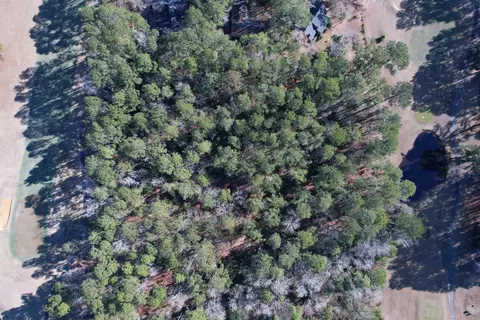 22 Lots- Goelet Ct, Georgetown, SC 29440 photo 15