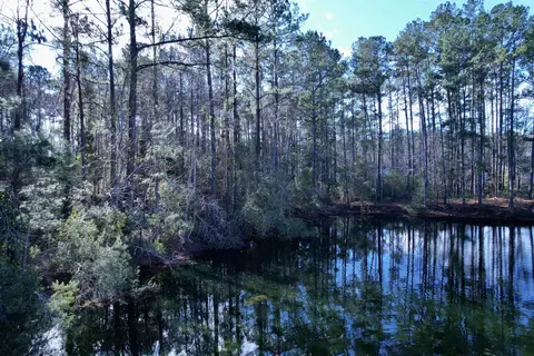 22 Lots- Goelet Ct, Georgetown, SC 29440 photo 10