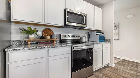 834 Farmers Passage Loop, Loris, SC 29569 photo 5