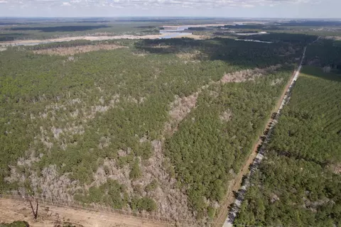 Tractc-tbd Pennyroyal Rd., Georgetown, SC 29440