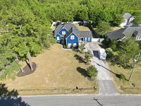 View/Area - 5336 Bear Bluff Dr, Conway, SC 29526 photo 2 of 8