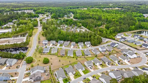 View/Area - 192 Long Leaf Pine Dr, Conway, SC 29526 photo 4 of 9