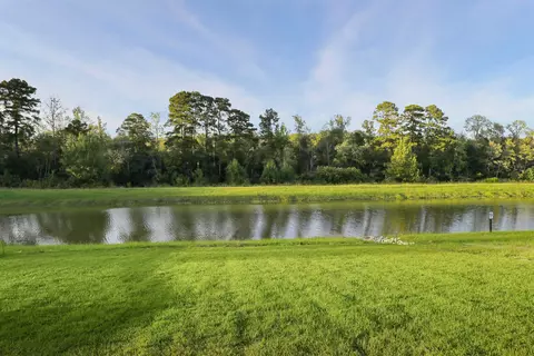 View/Area - 172 Bolsin Ct, Conway, SC 29526 photo 4 of 6