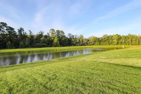 View/Area - 172 Bolsin Ct, Conway, SC 29526 photo 3 of 6