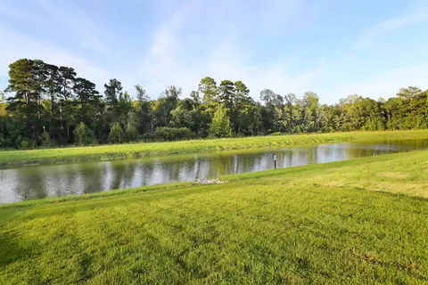 View/Area - 172 Bolsin Ct, Conway, SC 29526 photo 5 of 6