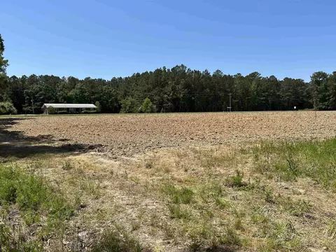 tbd Pleasant Hill Dr, Hemingway, SC 29554