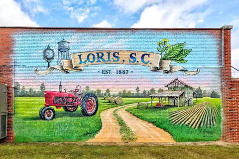 Other - 1478 Red Bluff Rd, Loris, SC 29569 photo 14 of 15
