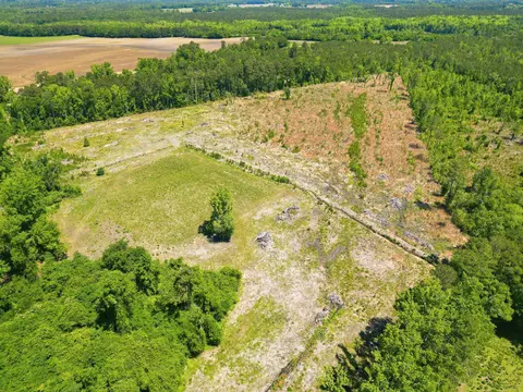 tbd Highway 792, Loris, SC 29569 photo 8