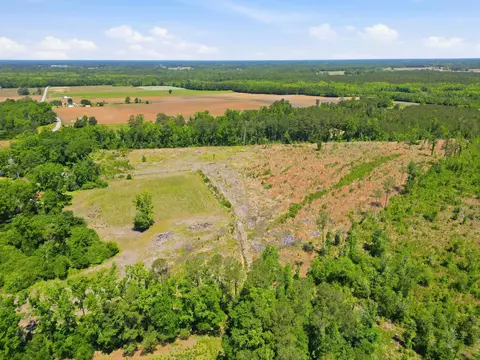 tbd Highway 792, Loris, SC 29569 photo 9
