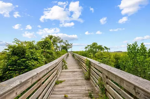 Other - 845 Commanders Island Rd, Georgetown, SC 29440 photo 10 of 10