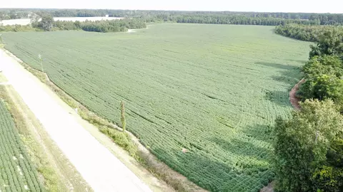 tbd Hwy 9, Green Sea, SC 29545