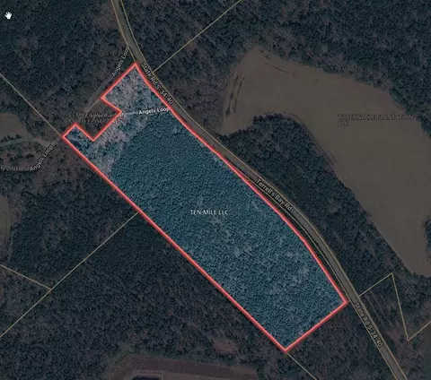tbd Terrells Bay Rd, Centenary, SC 29519 photo 3