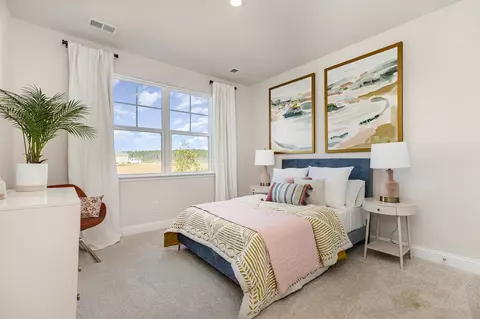 Bedroom - 205 Blueberry Fields Ct, Longs, SC 29568 photo 5 of 7