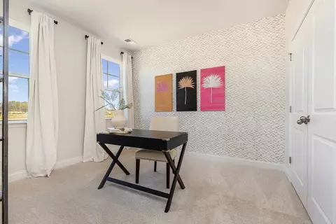 Other - 205 Blueberry Fields Ct, Longs, SC 29568 photo 7 of 16