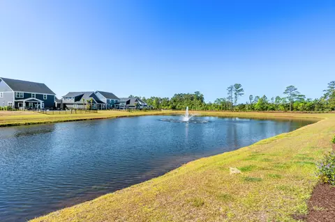 View/Area - 2609 Rowyn St, Longs, SC 29568 photo 4 of 17
