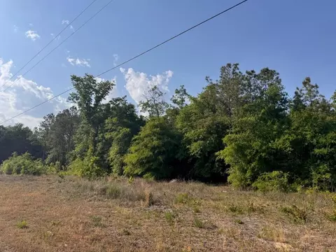 2716 W Highway 378 Hannah, Gresham, SC 29546 photo 5
