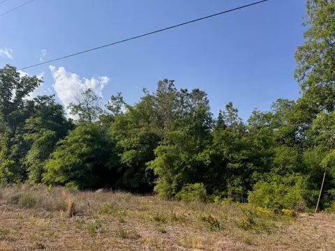 2716 W Highway 378 Hannah, Gresham, SC 29546 photo 6